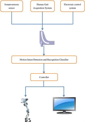 Sit-to-Stand (STS) Movement Analysis of the Center of Gravity for Human–Robot Interaction